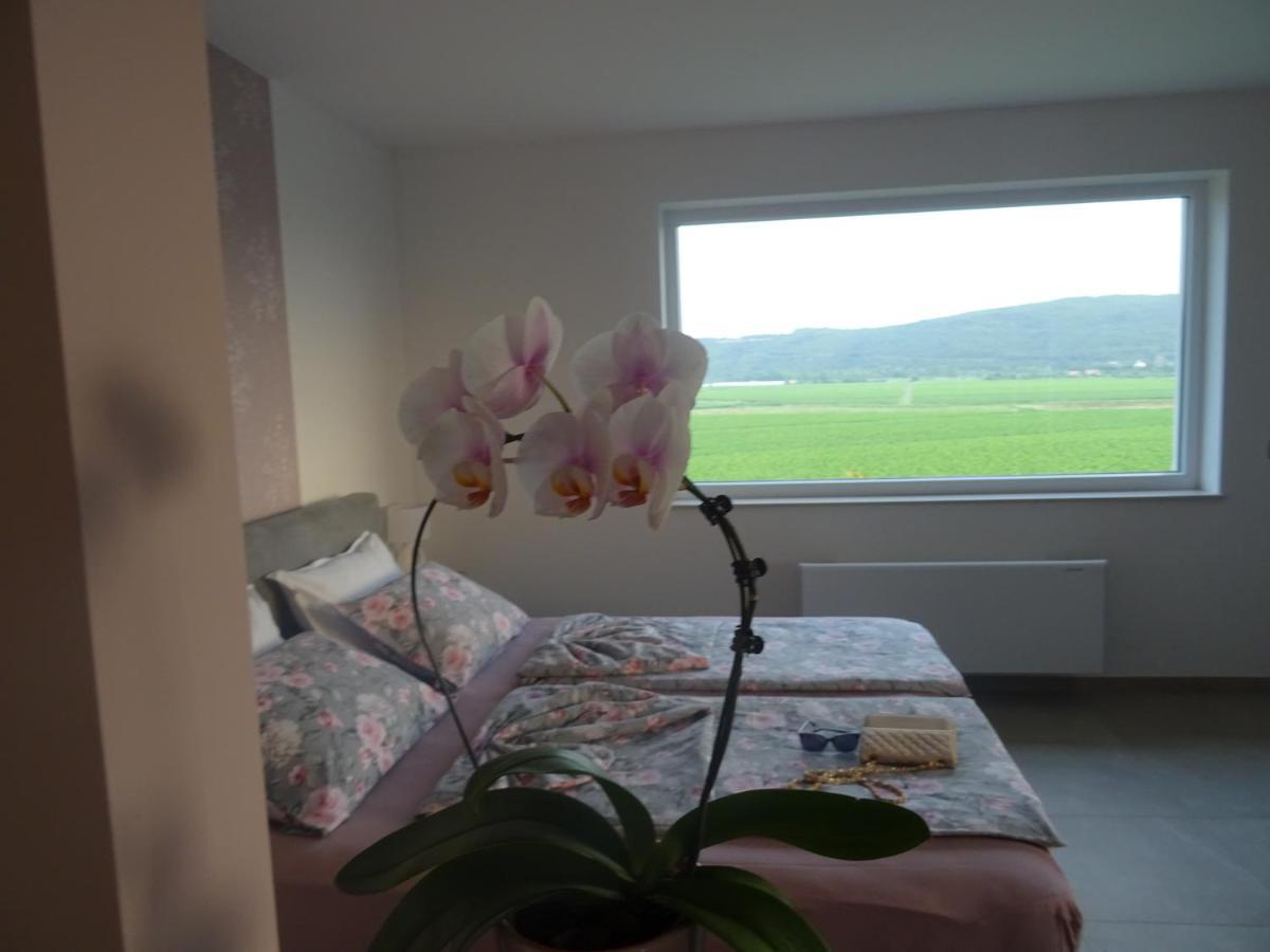 Val&Sol Apartments Sečovlje Eksteriør billede
