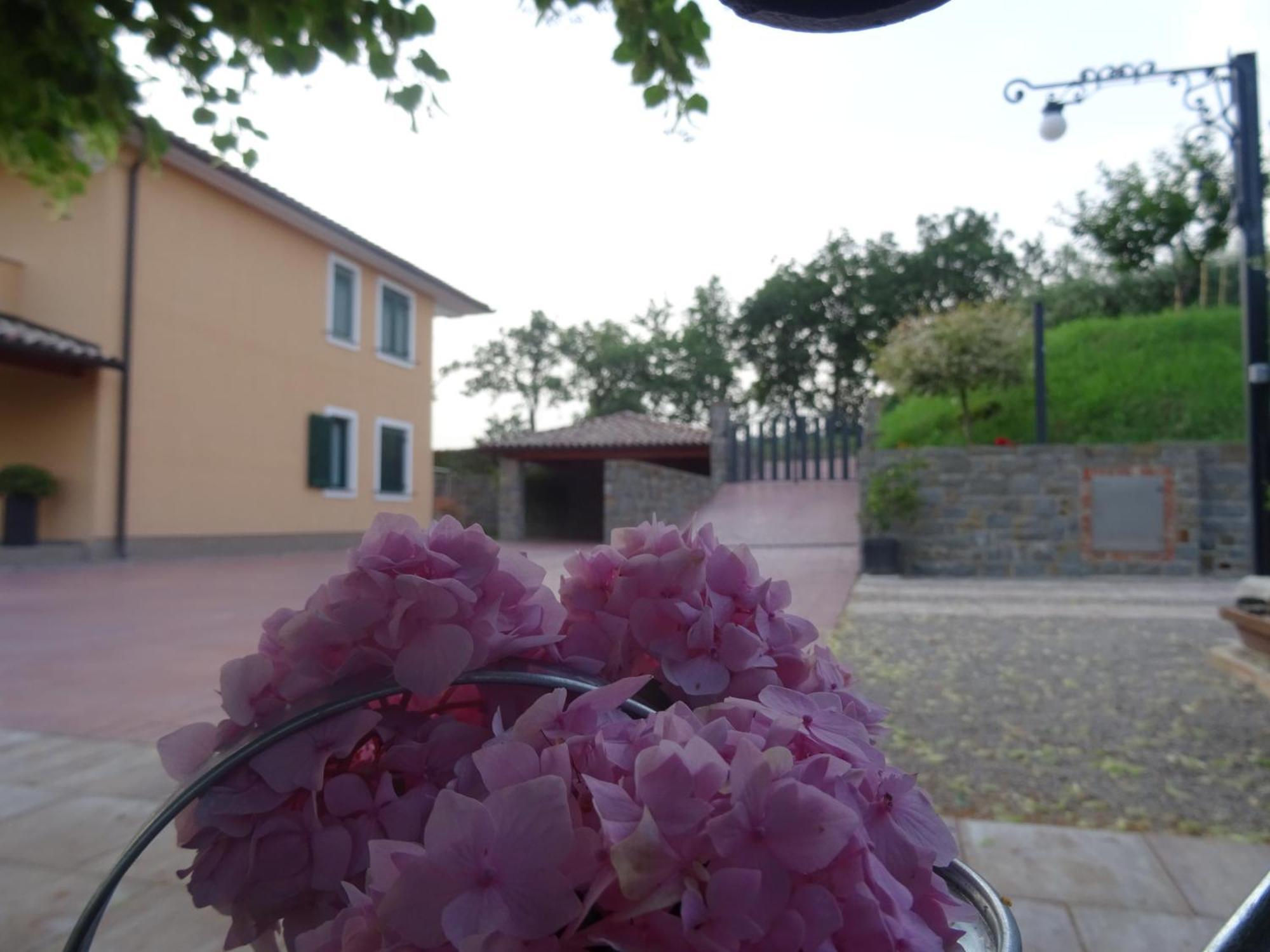 Val&Sol Apartments Sečovlje Eksteriør billede